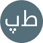 پارسا طولابی