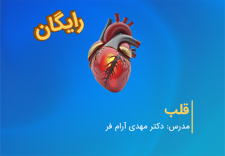 بررسی آناتومی و چرخه عملکرد قلب، شبکه هادی و رگ‌های اصلی بدن